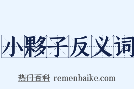 小夥子反义词是什么意思的图片